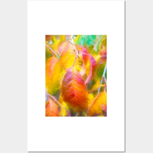 The Autumnal Cherry Tree Posters and Art